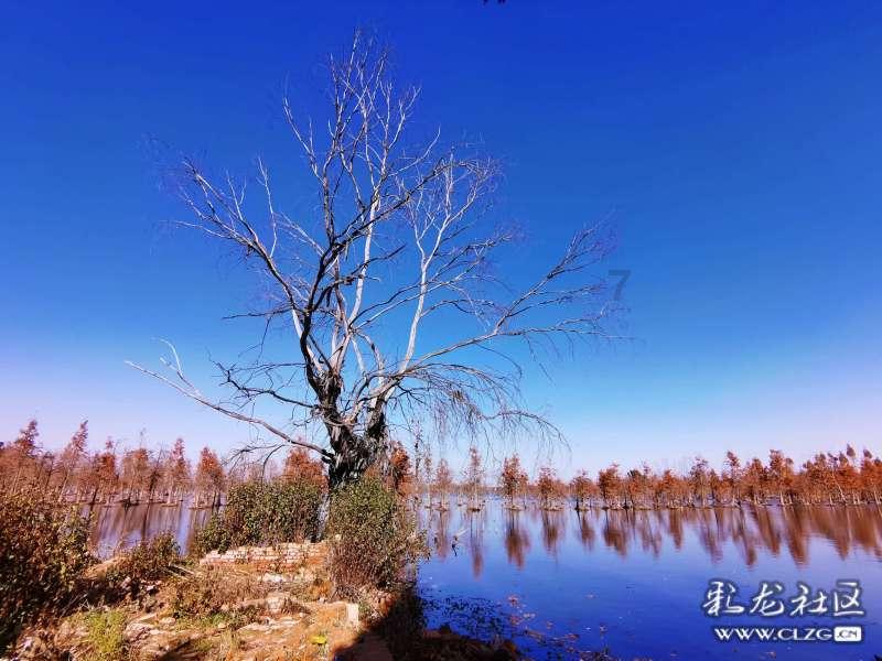 两会好声音丨尹峰代表:加大健身场地设施建设,促进全民网球运动发展