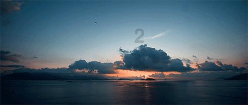 动物帮帮忙保卫家园