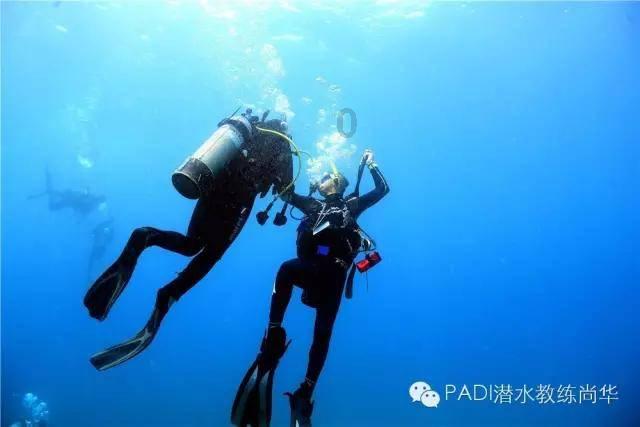 卫星化学2023年最高预盈52亿 加快产业链投资近三年研发费超35亿